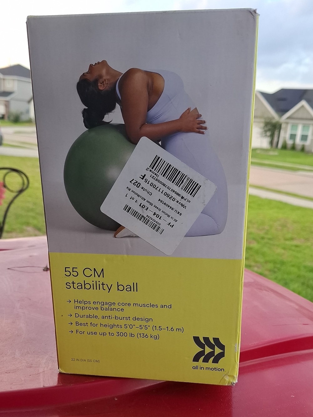 Stability Ball Box